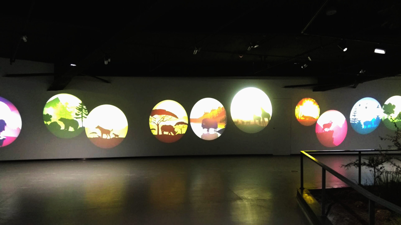 The Application of Gobo Projector in the Museum(图5)