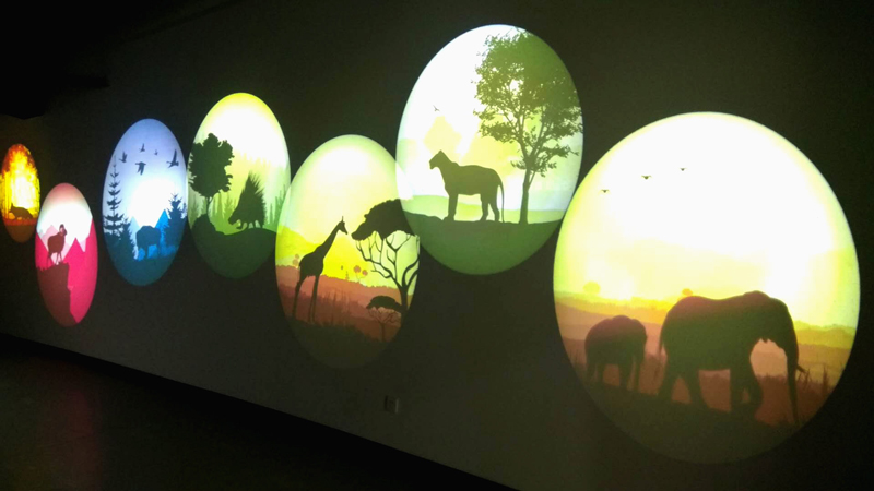 The application of gobo projector in the museum(图8)